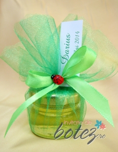 Borcanas de miere cu buburuza si tul si funda verde