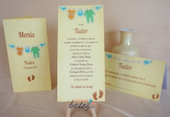Invitatie de botez cu pasarele si hainute