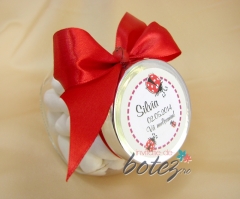 Marturie de botez borcanas cu funda rosie si buburuze