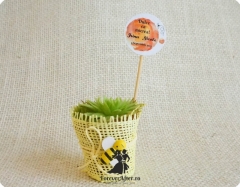 Marturie ghiveci cu flori in panza de hartie galbena cu albinute