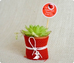 Marturie ghiveci cu flori in panza rosie cu buburuza
