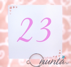 Numar de masa Baby Girl