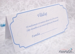 Plic de bani Blue Toys