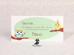 Plic de bani verde cu bufnite pentru baietei