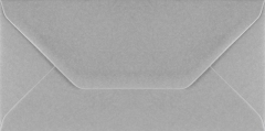 Plic dreptunghiular mare argintiu