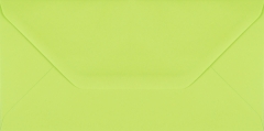 Plic dreptunghiular mare verde deschis