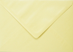 Plic dreptunghiular mic crem sidefat