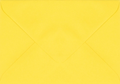 Plic dreptunghiular mic galben