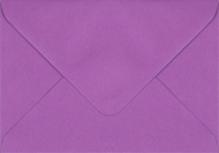 Plic dreptunghiular mic  mov