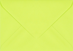 Plic dreptunghiular mic verde crud