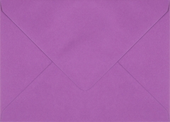 Plic dreptunghiular mov