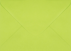 Plic dreptunghiular verde deschis