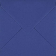 Plic patrat mic albastru iris