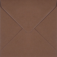 Plic patrat mic maro