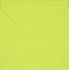 Plic patrat mic verde crud