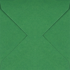 Plic patrat mic verde padure