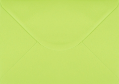 Plic verde deschis